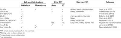 Two-Way Development of the Genetic Model for Endometrial Tumorigenesis in Mice: Current and Future Perspectives